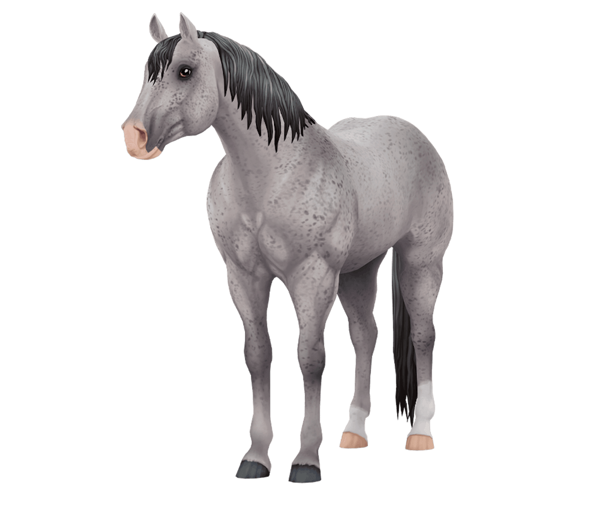 Jorvegian Quarter Horse in Star Stable Online