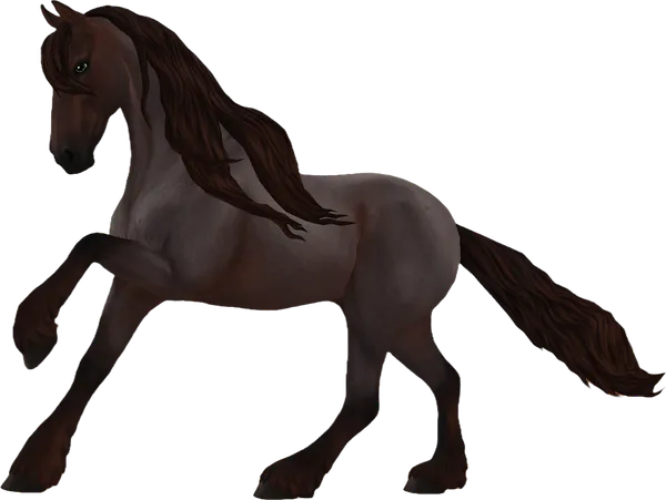 Friesian Sport Horse, Liver Chestnut Roan