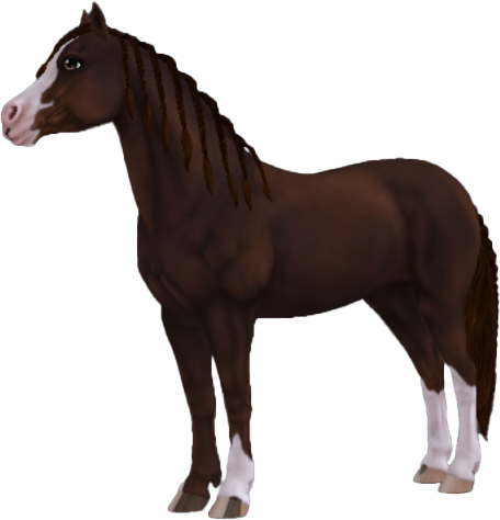 Welsh Pony in Star Stable Online