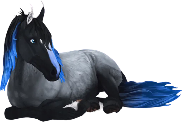 Jorvik Wild Horse, Sapphire Blue Roan