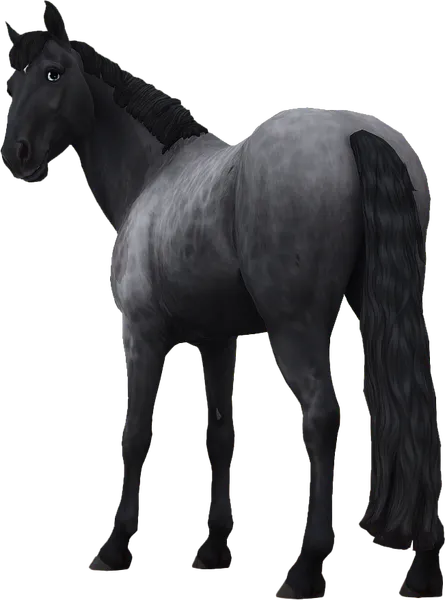 Jorvik Mountain Horse, Blue Roan