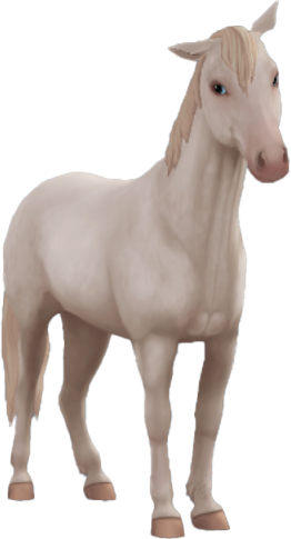 Chincoteague Pony in Star Stable Online