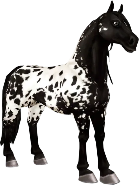 Friesian Sport Horse, Black Extended Spotted Blanket