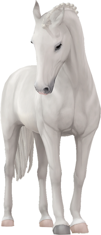 Belgian Warmblood in Star Stable Online