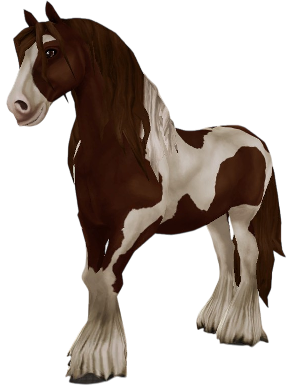 Irish Cob in Star Stable Online