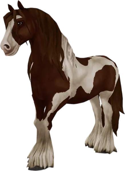 Irish Cob, Chestnut Tobiano