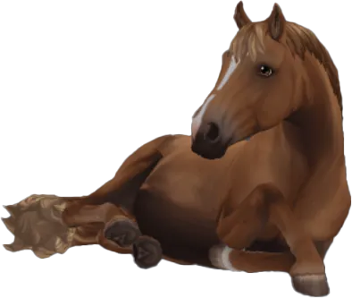 Finnhorse, Light Chestnut