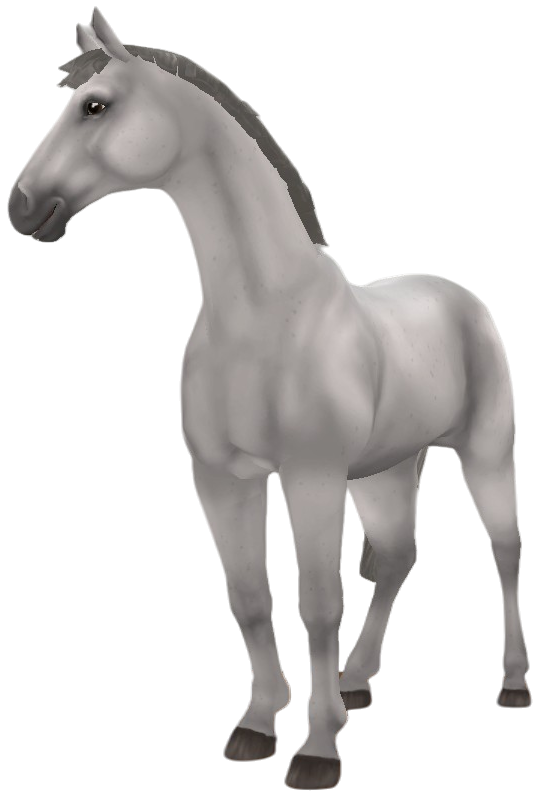 Hanoverian in Star Stable Online