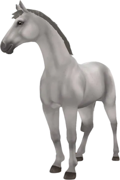 Hanoverian, Light Grey