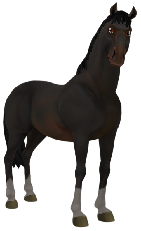 English Thoroughbred in Star Stable Online