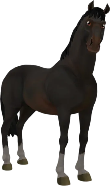 English Thoroughbred, Seal Bay
