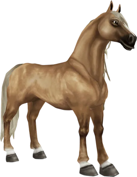 Andalusian, Palomino