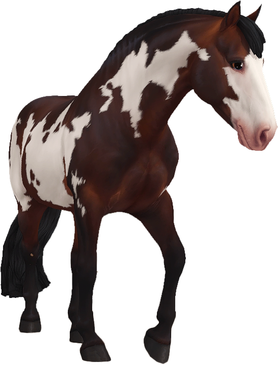 Criollo in Star Stable Online