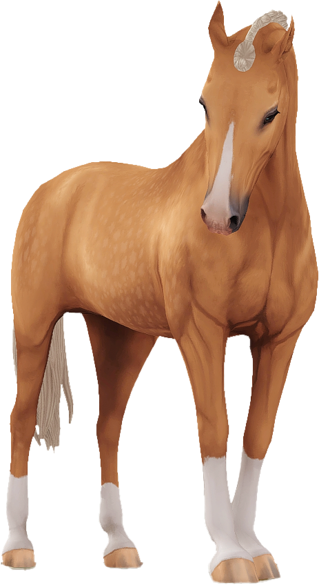 Belgian Warmblood in Star Stable Online