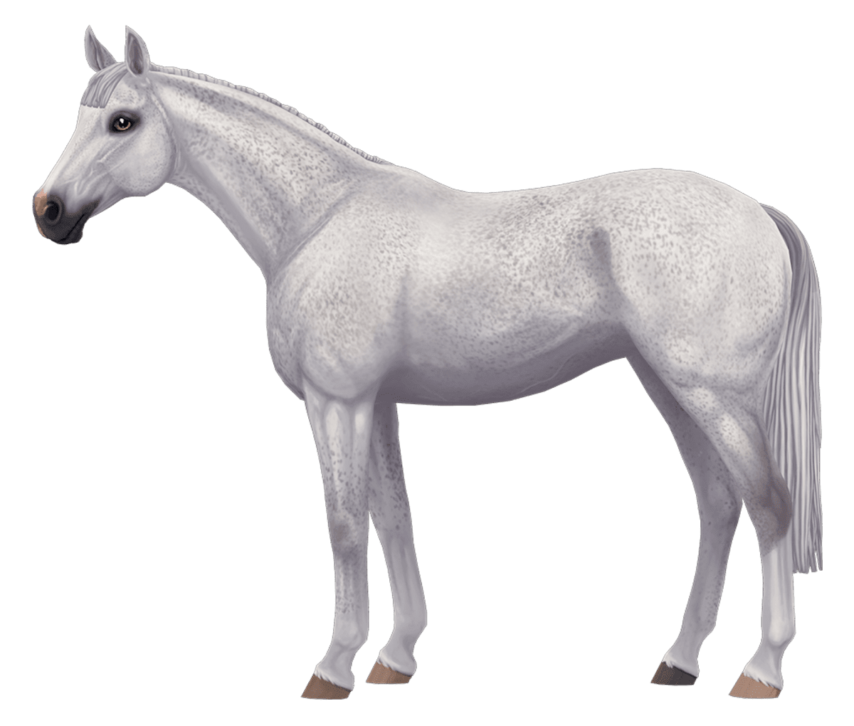 English Thoroughbred in Star Stable Online