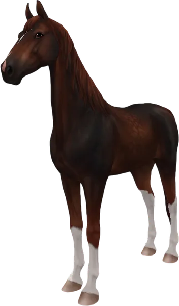 American Saddlebred, Sooty Liver Chestnut