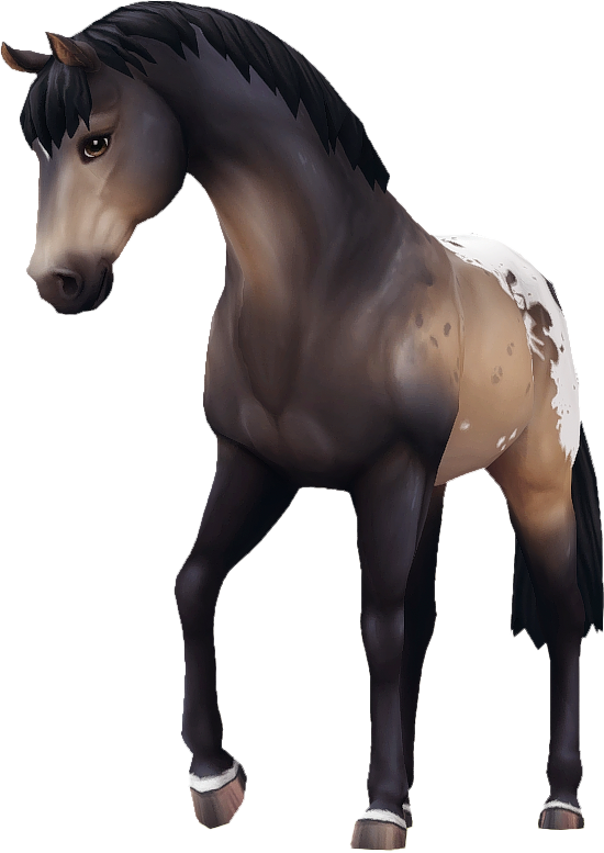 Jorvik Warmblood in Star Stable Online