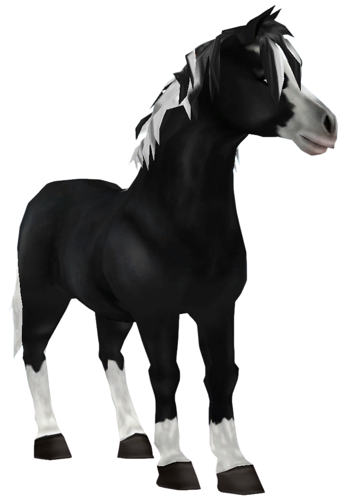 Jorvik Pony in Star Stable Online