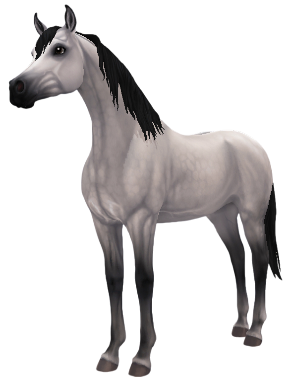 Arabian in Star Stable Online
