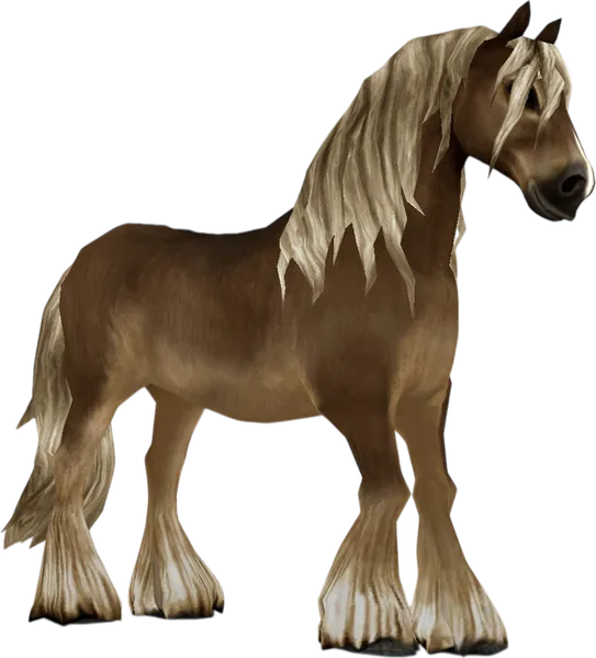 North Swedish Horse, Silver Dapple Pangaré
