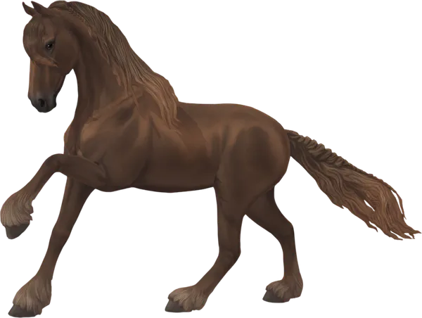 Friesian, Liver Chestnut
