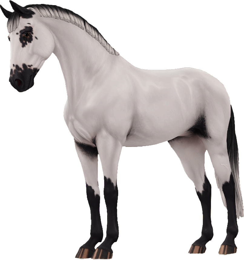 Selle Francais in Star Stable Online