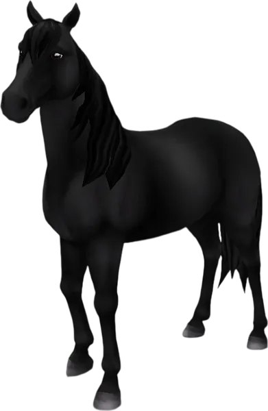 Mustang, Black