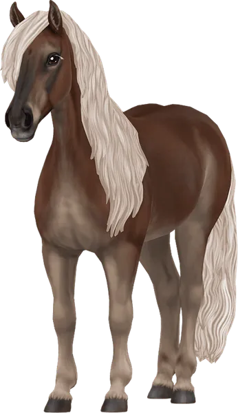 Haflinger, Liver Flaxen Chestnut Pangare