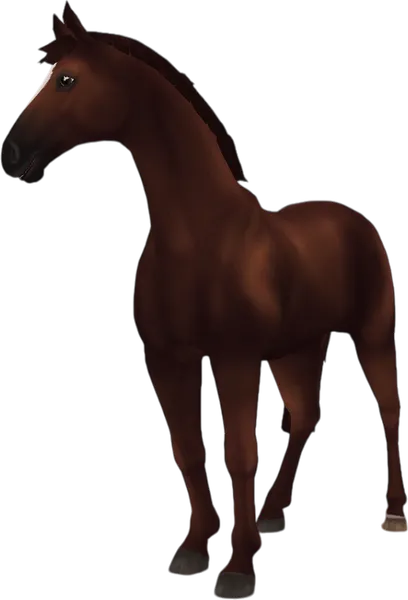 Hanoverian, Liver Chestnut