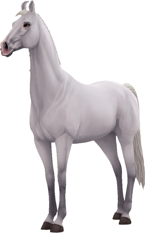 Marwari in Star Stable Online