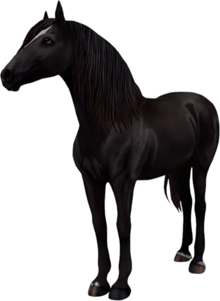 Paso Fino, Sun Bleached Black