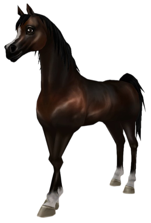 Arabian Thoroughbred in Star Stable Online