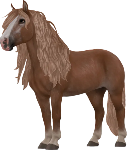 Black Forest Horse, Flaxen Chestnut (Aged)