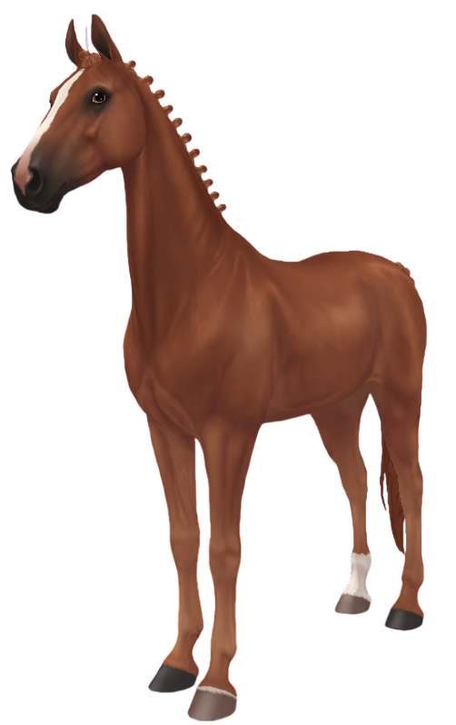 American Saddlebred in Star Stable Online