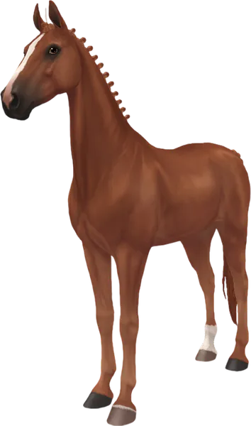 American Saddlebred, Chestnut