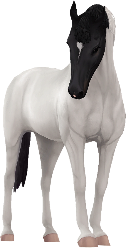 Belgian Warmblood in Star Stable Online
