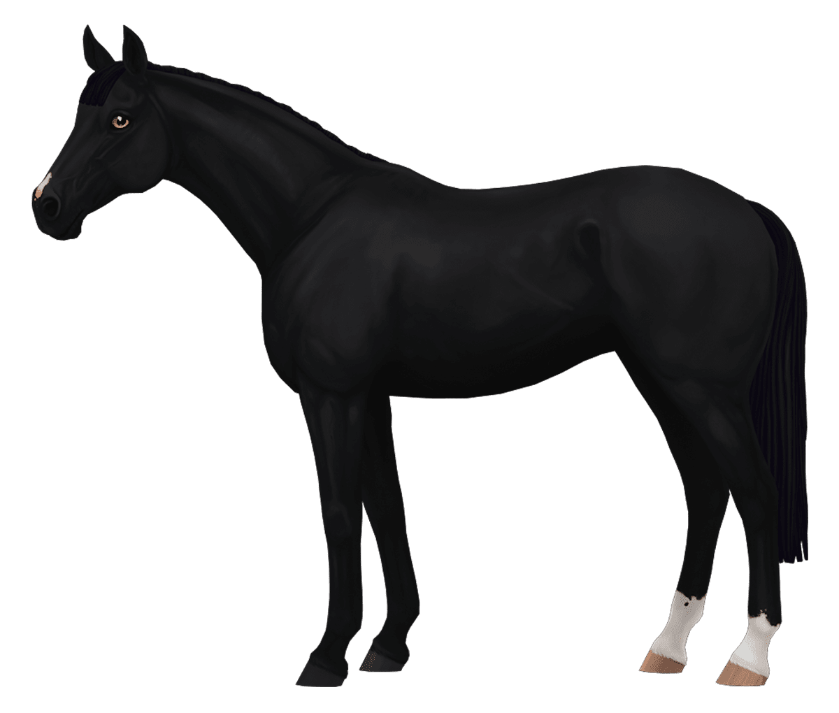 English Thoroughbred in Star Stable Online