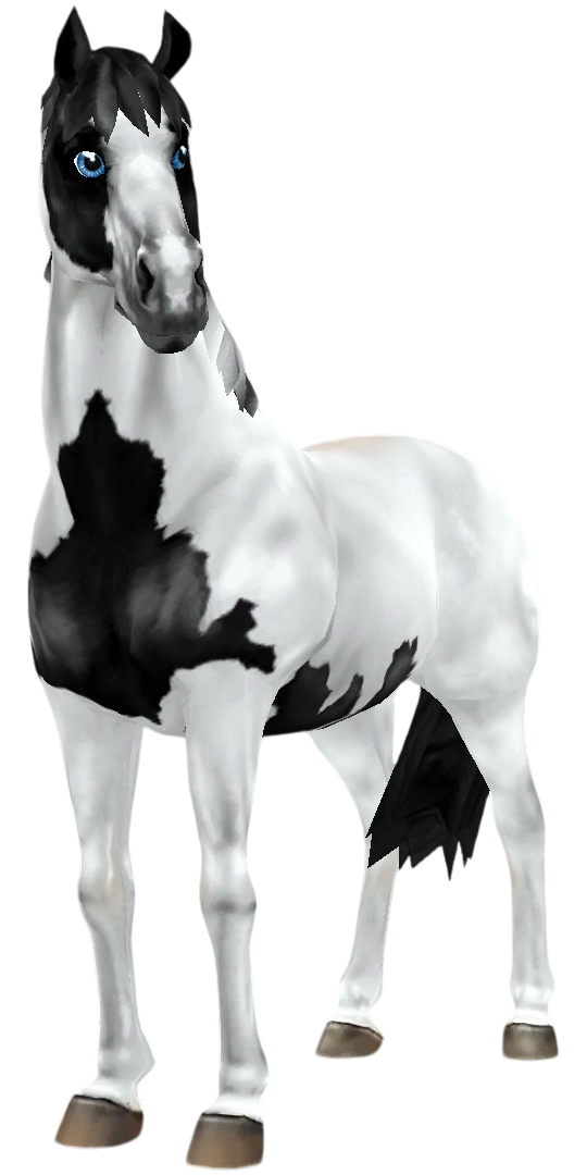 American Paint Horse in Star Stable Online