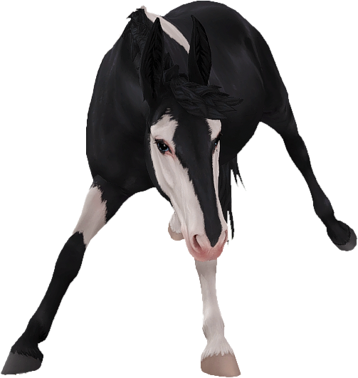 Mule in Star Stable Online