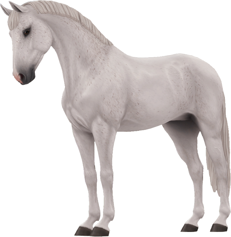 Selle Francais in Star Stable Online