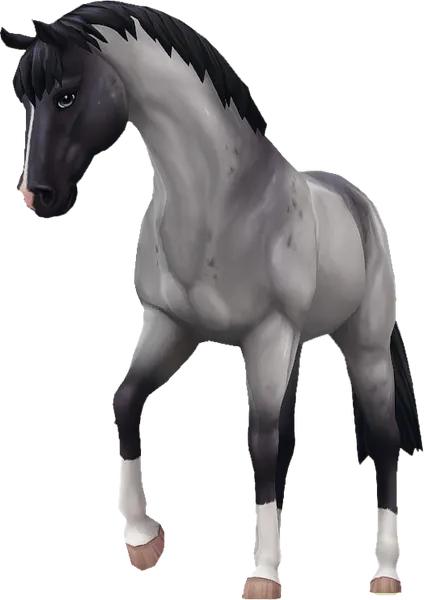 Jorvik Warmblood, Blue Roan