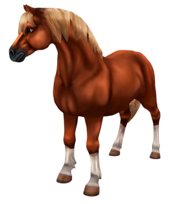 Welsh Pony in Star Stable Online