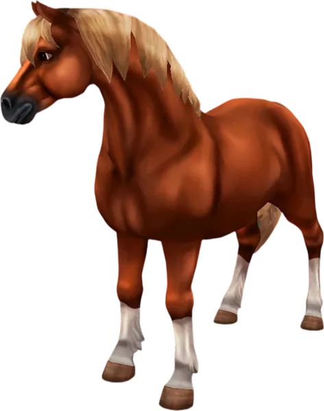 Welsh Pony, Flaxen Chestnut