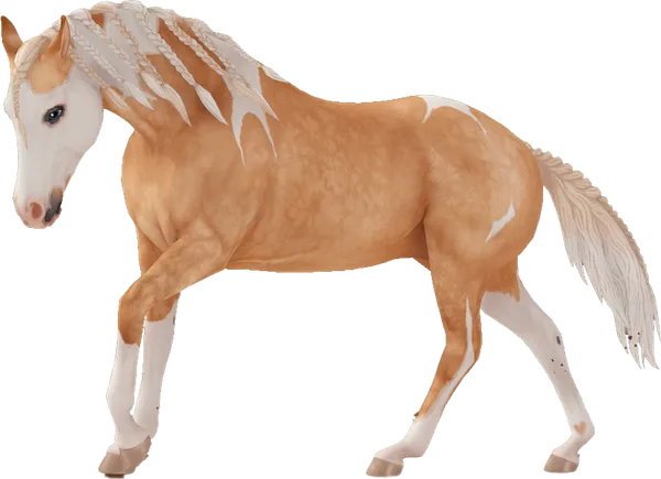 American Paint Horse, Palomino Tobiano