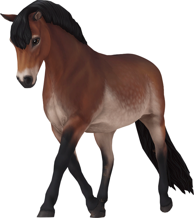 Dartmoor in Star Stable Online