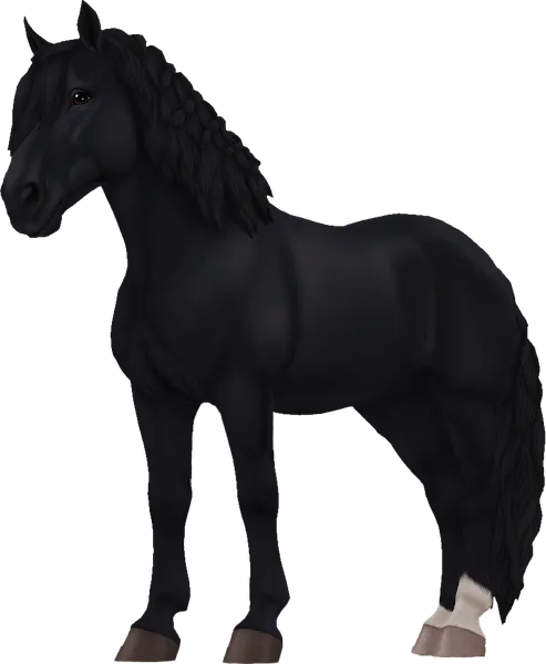 Noriker, Black