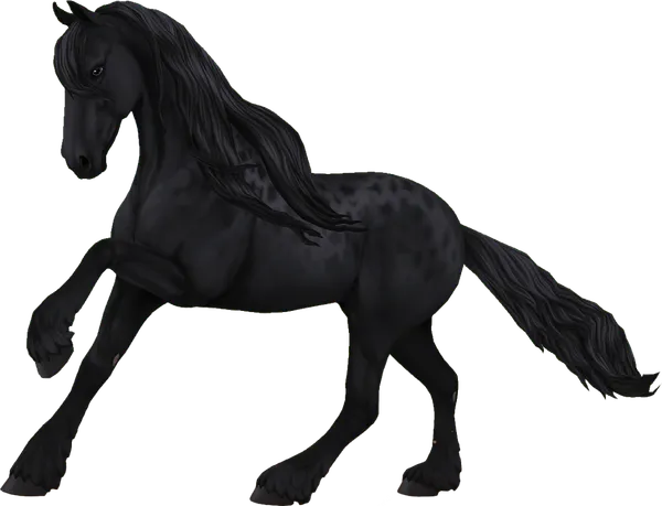 Friesian Sport Horse, Reverse Dapple Black