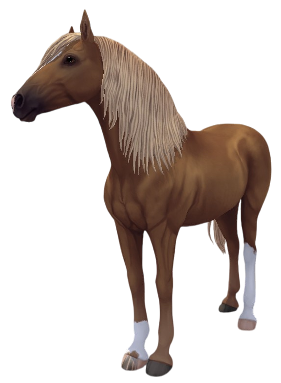 Paso Fino in Star Stable Online