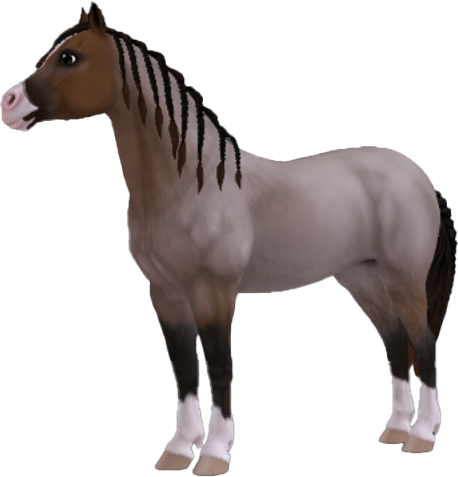 Welsh Pony in Star Stable Online