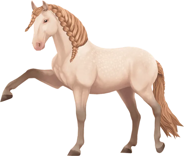 Jorvik Andalusian, Perlino